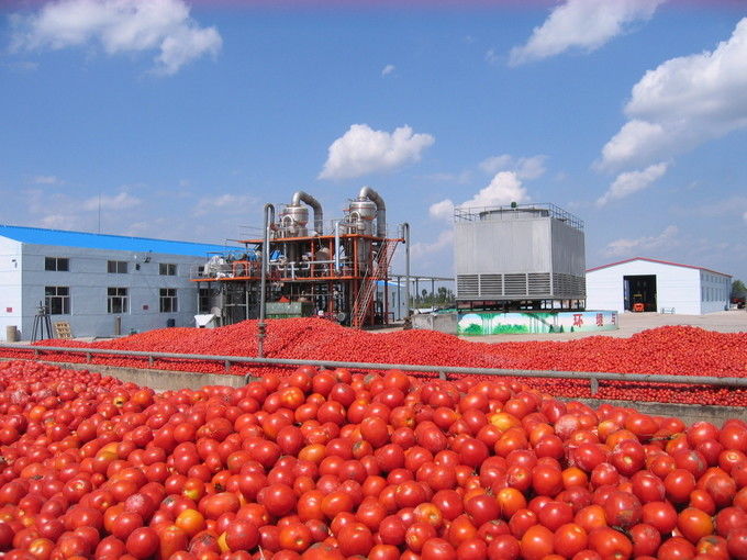 Arkhum (Tianjin) Health Technology Co., Ltd. cadena de producción del fabricante